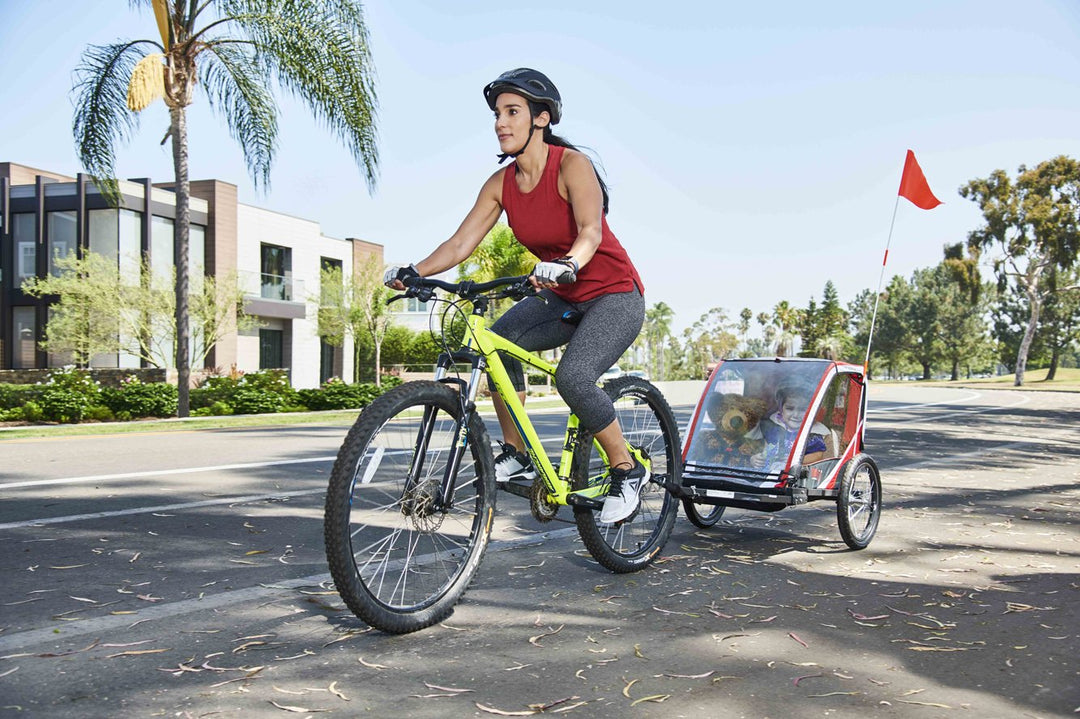 allen sports fahrradanhänger Deluxe Kinder-Fahrradanhänger – Allen Europe